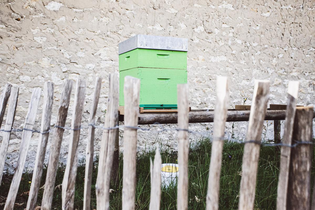 , Royan : la sauvegarde des abeilles en bonne voie, entre ruches municipales et programme éducatif